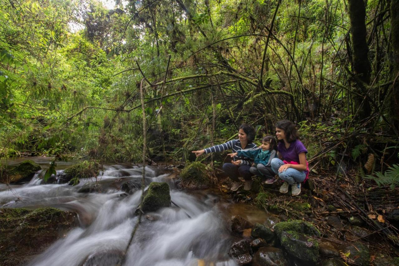 Dantica Cloud Forest Lodge San Gerardo de Dota Ngoại thất bức ảnh