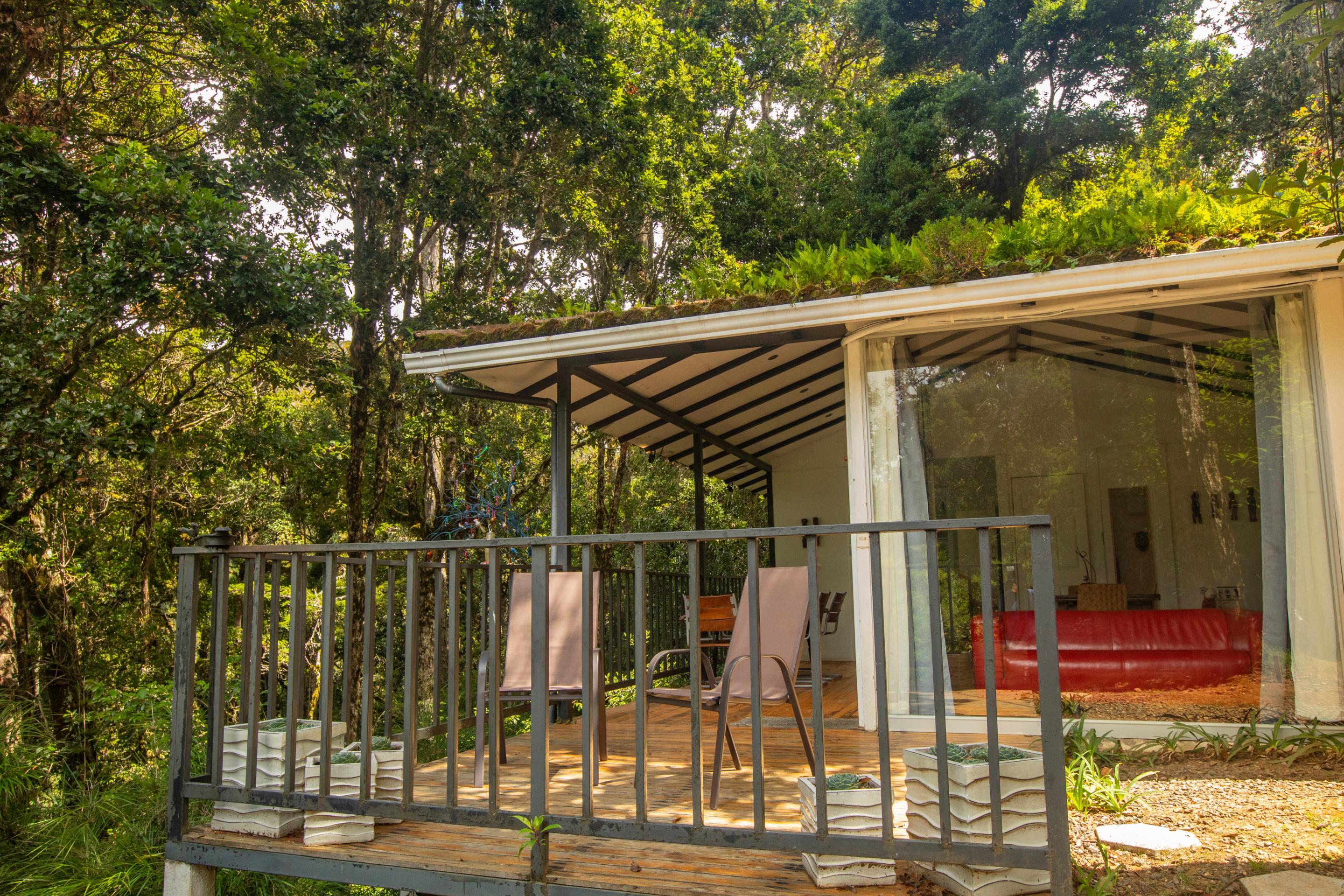 Dantica Cloud Forest Lodge San Gerardo de Dota Ngoại thất bức ảnh