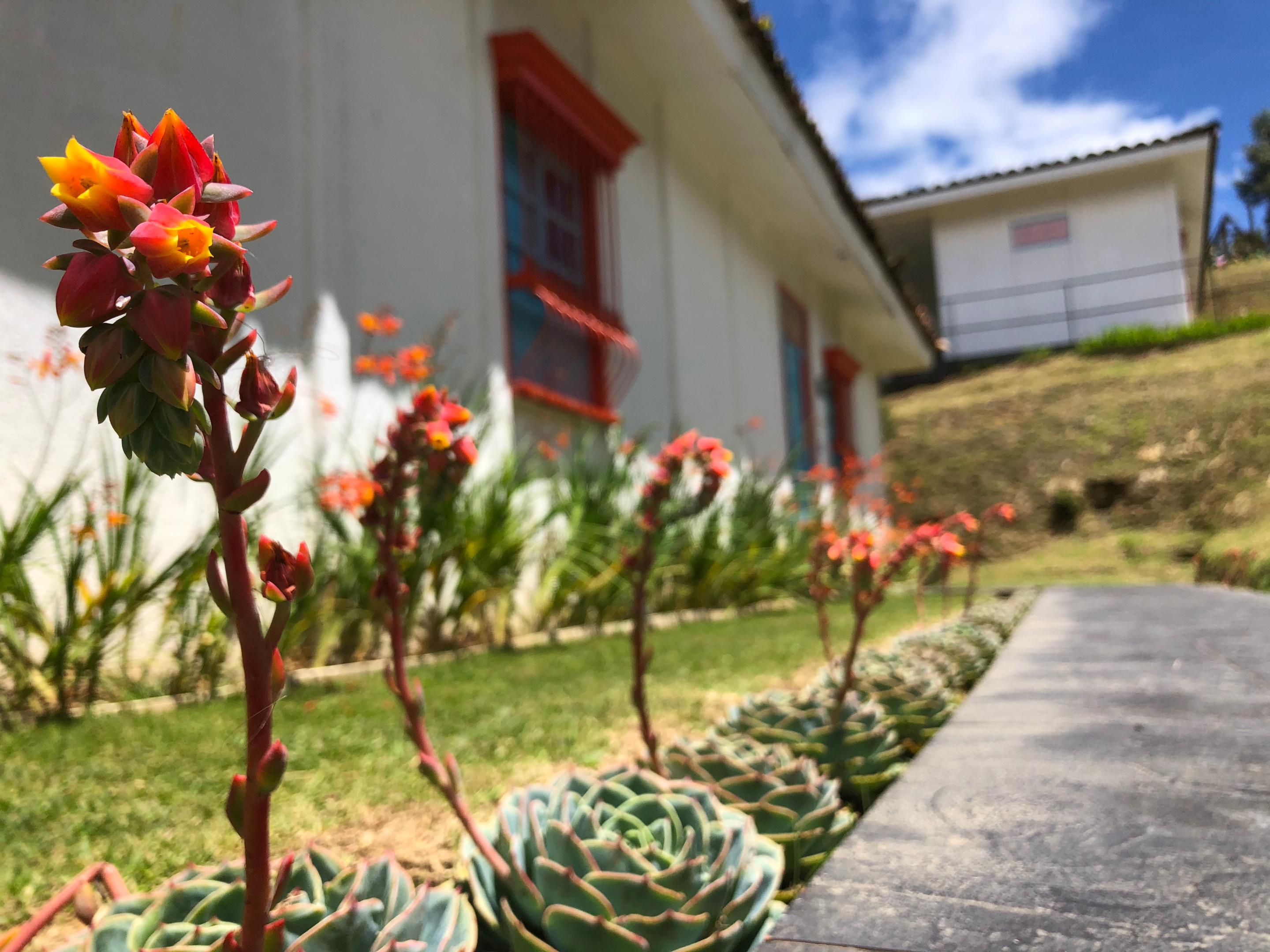 Dantica Cloud Forest Lodge San Gerardo de Dota Ngoại thất bức ảnh