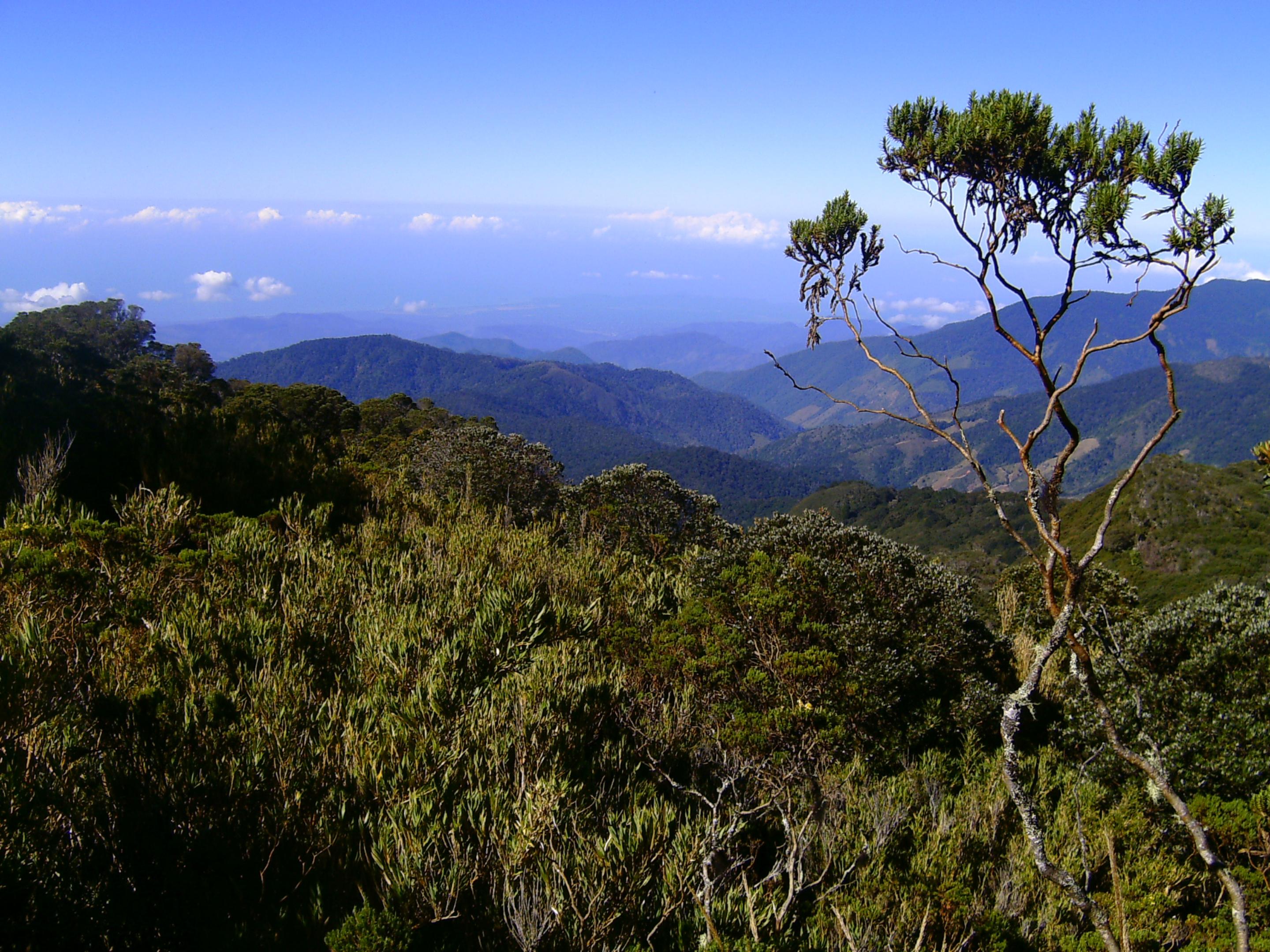 Dantica Cloud Forest Lodge San Gerardo de Dota Ngoại thất bức ảnh