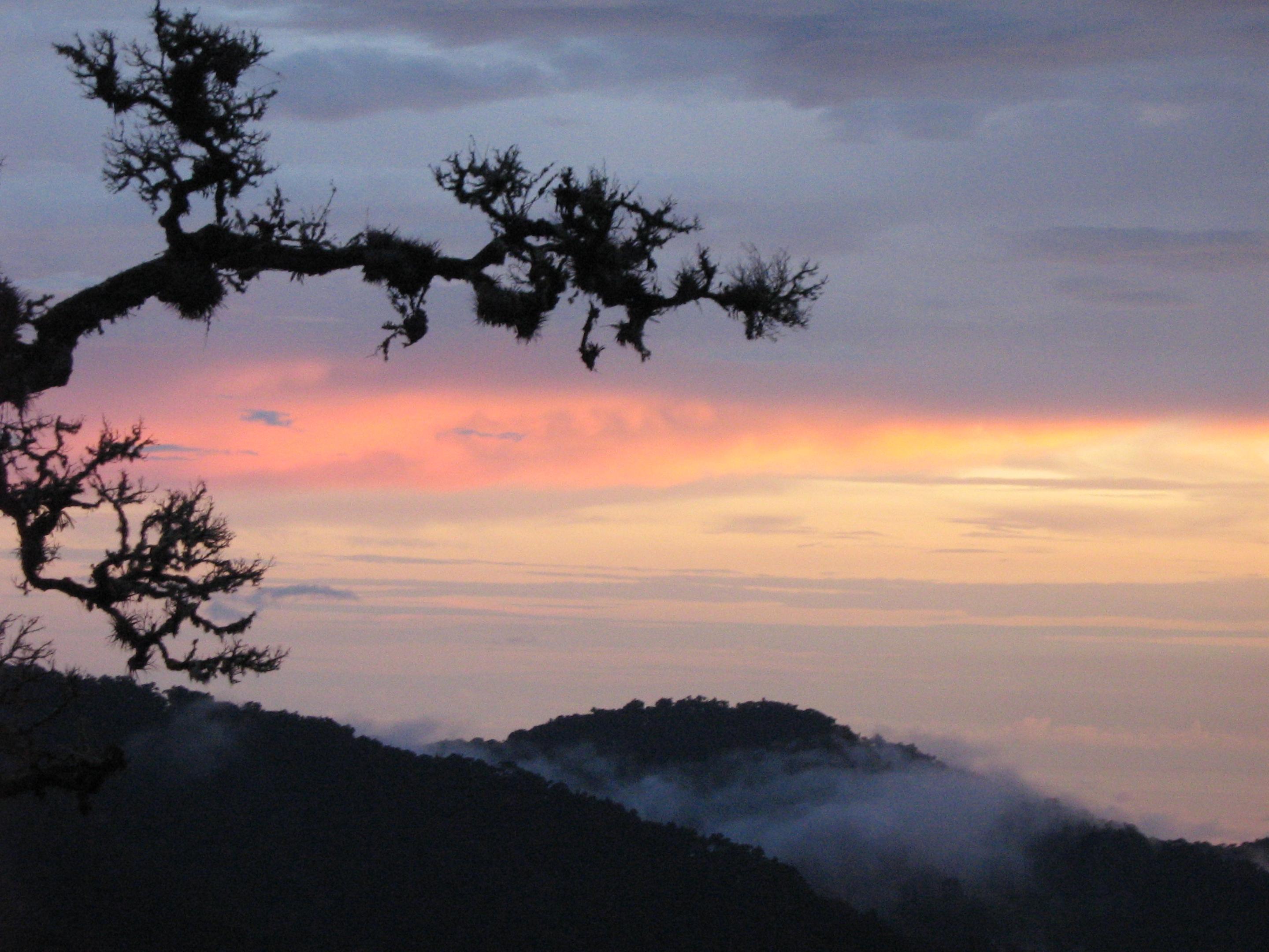 Dantica Cloud Forest Lodge San Gerardo de Dota Ngoại thất bức ảnh