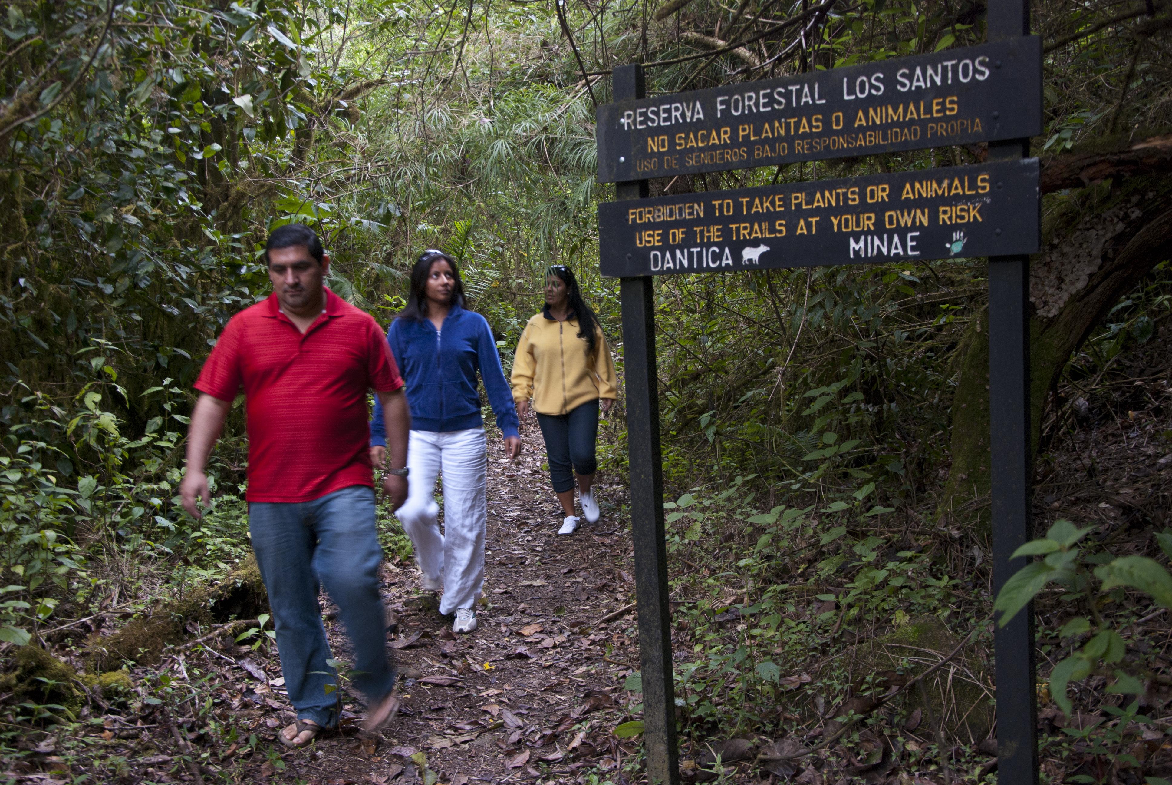 Dantica Cloud Forest Lodge San Gerardo de Dota Ngoại thất bức ảnh